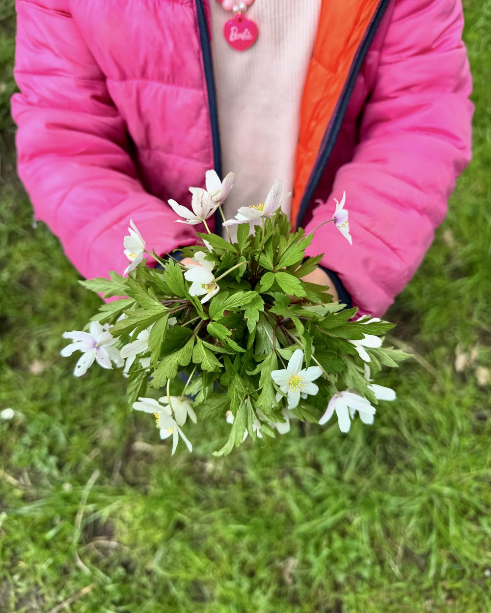 Barn holder bukett med hvitveis plukket på tur