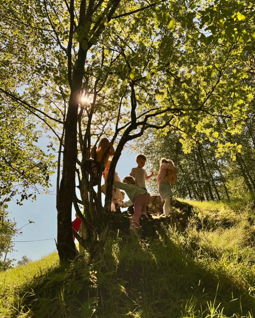 Barn leker i naturen om sommeren