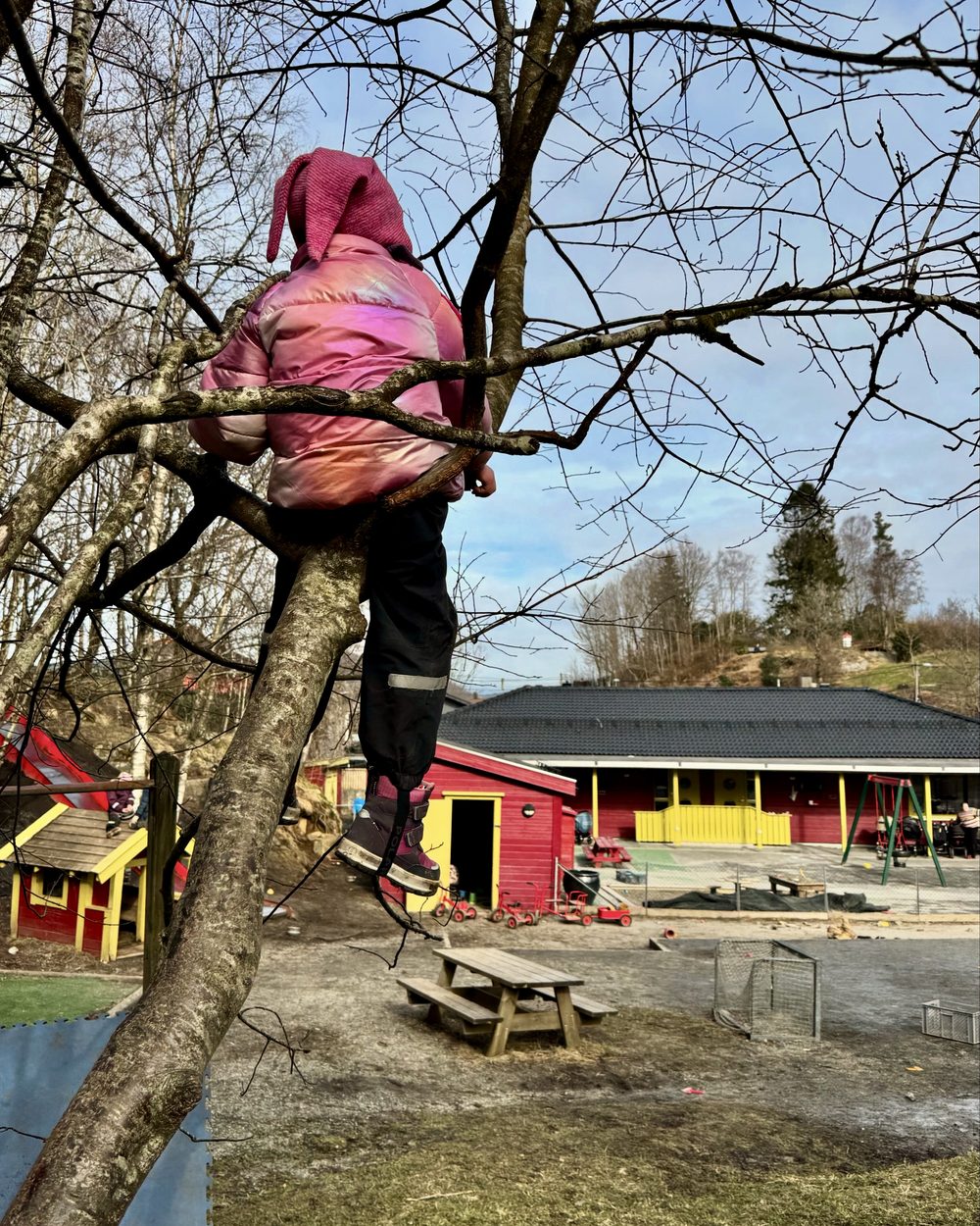 Jente klatrer i tre på barnehagens uteområde