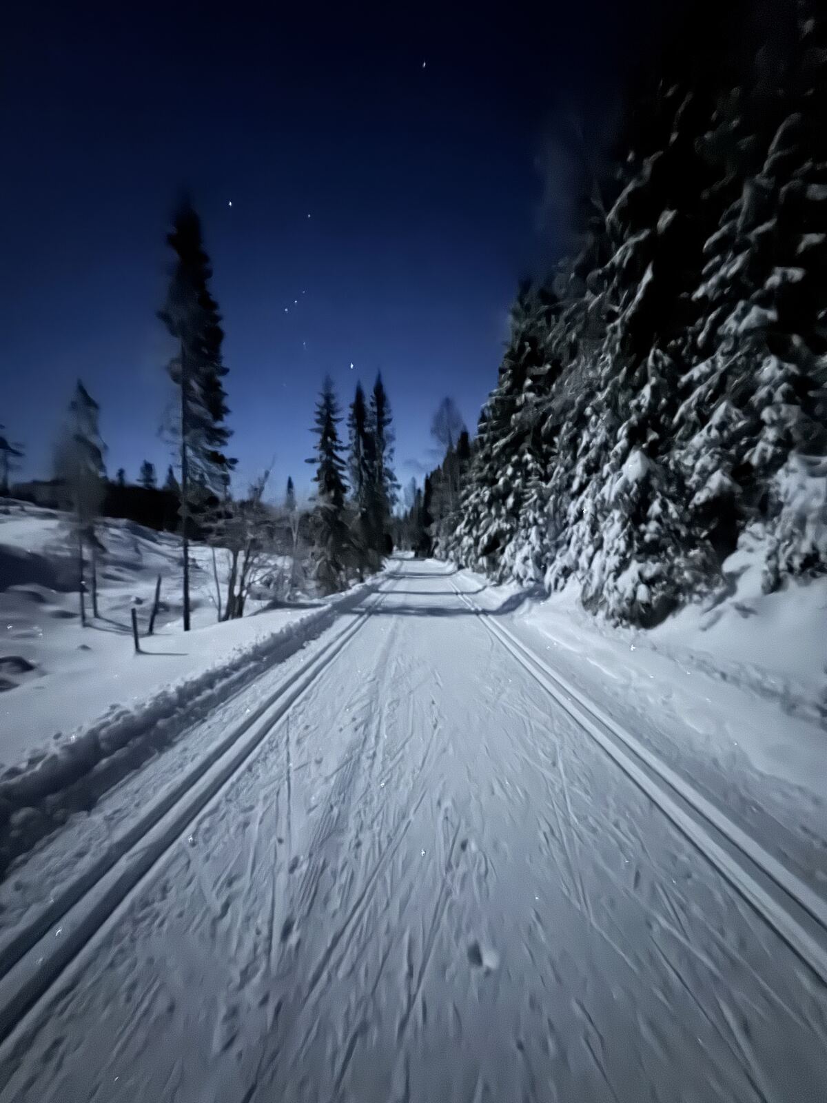 Skiløype i måneskinn i Hurdal