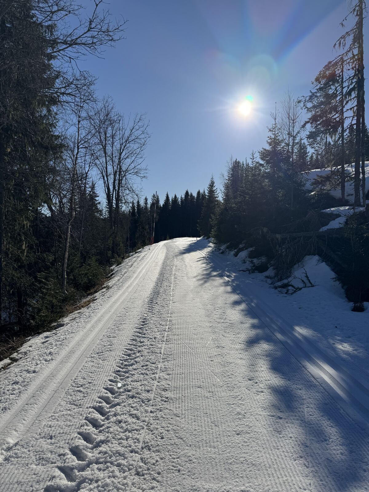 Nypreparerte skiløyper på Minneåsen i Hurdal