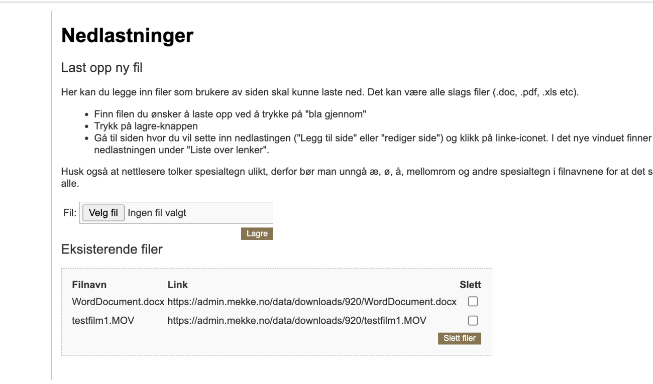 Nedlastinger med opplasting av fil og liste over eksisterende filer