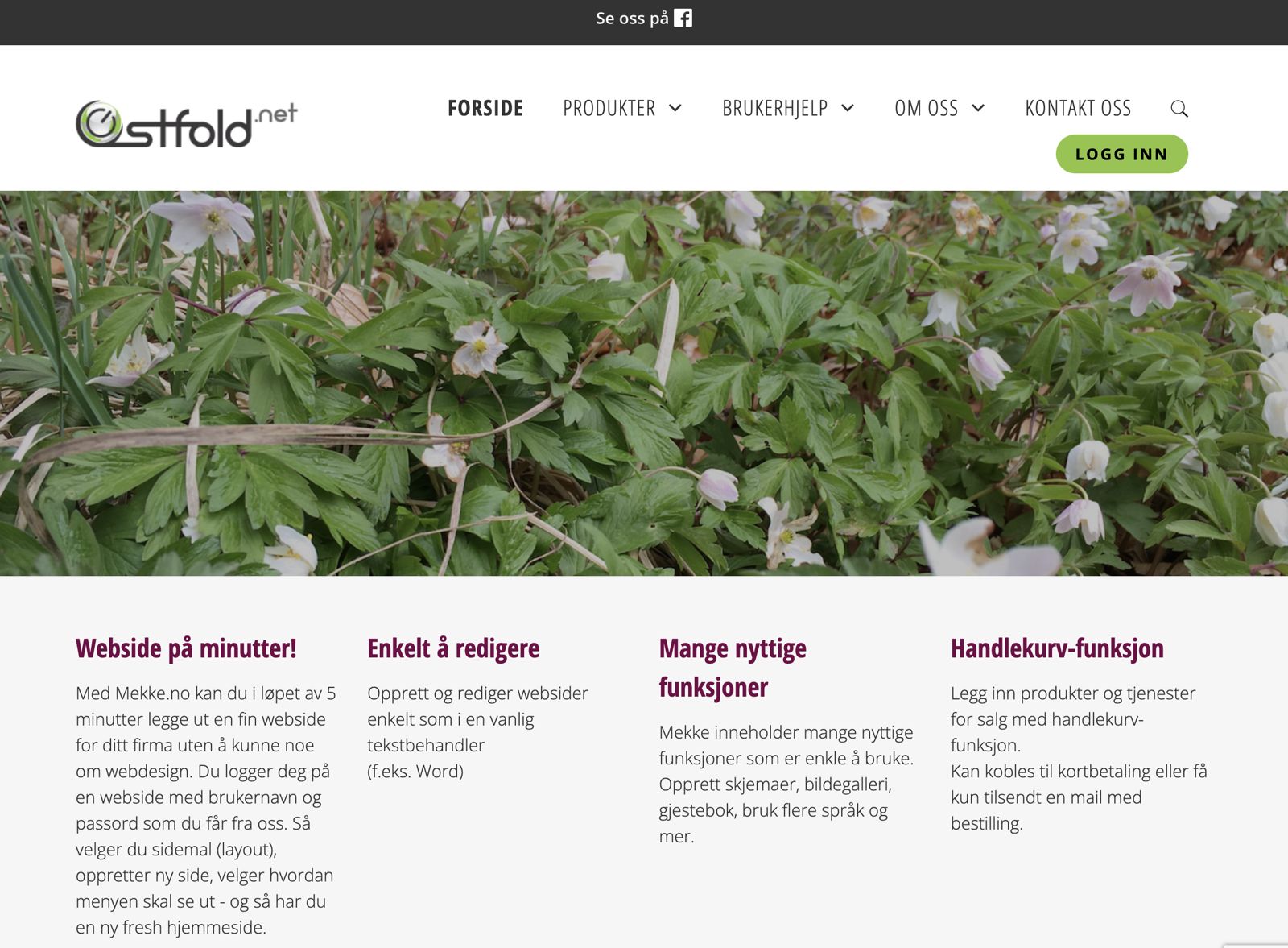 Skjermbilde av en senere versjon av ostfold.net