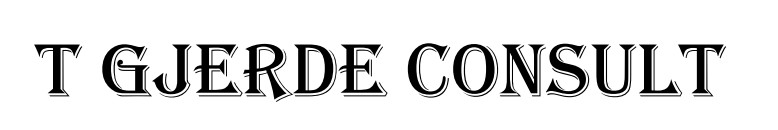 T GJERDE CONSULT 