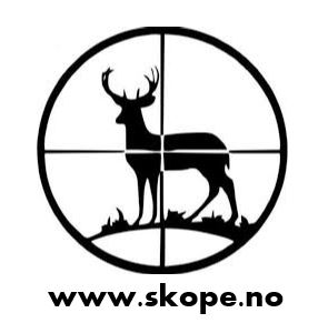 Simen Frøyland Konsult