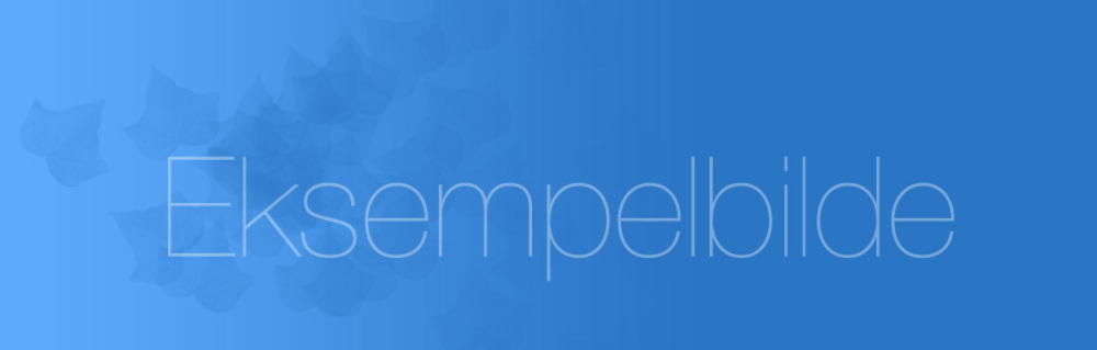 Bildekarusell 123067