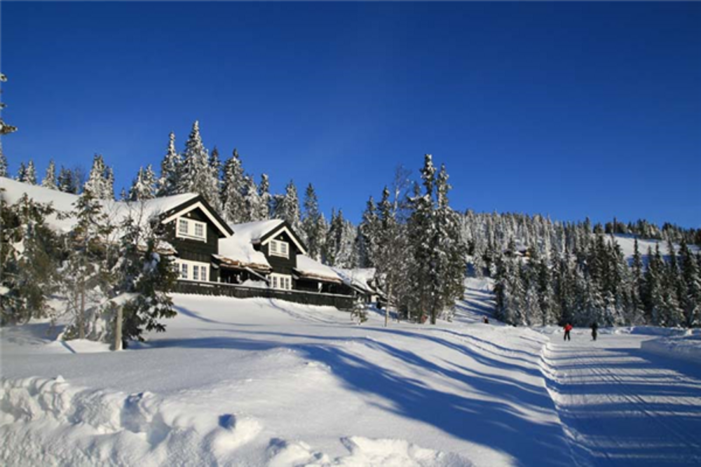 Hytter sjusjøen 217295