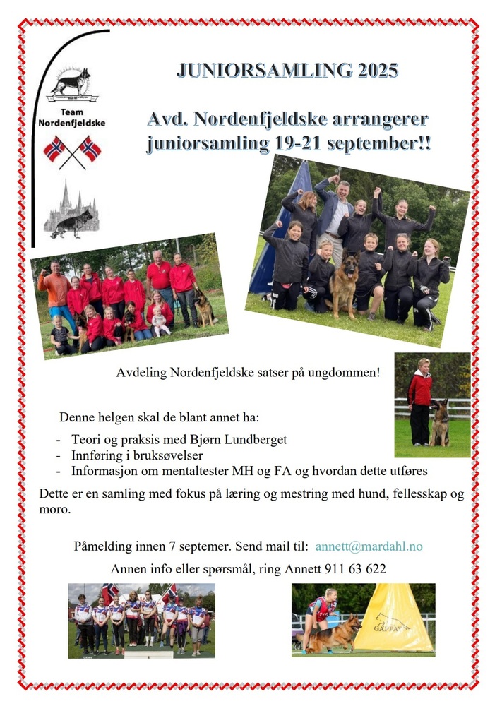 Annonser fra avdelinger 241730