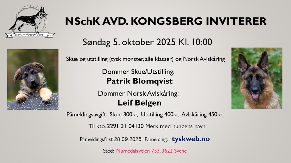 Annonser fra avdelinger 241989