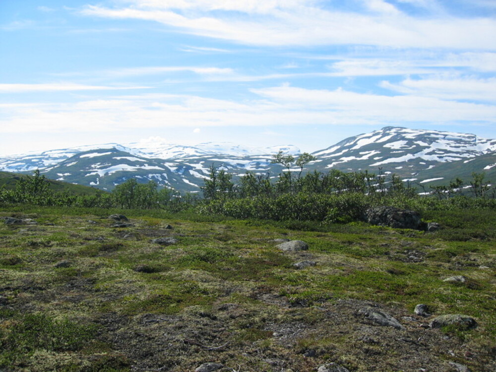 Naturen 222836