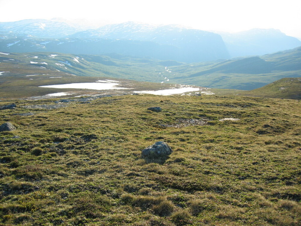Naturen 222845