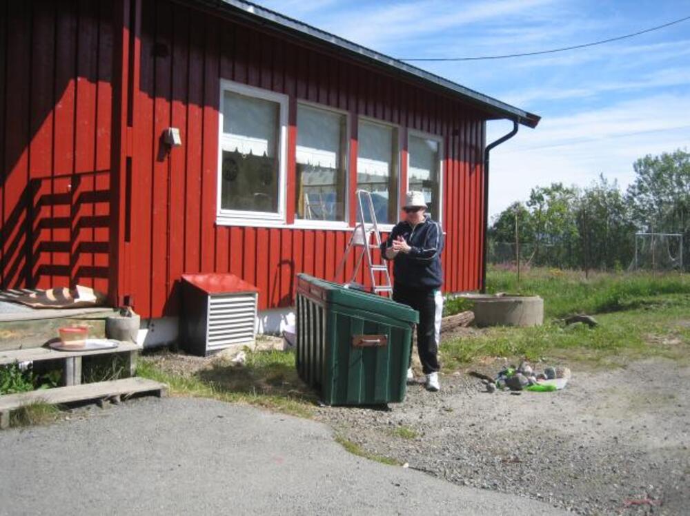 Aslaug maler vinduer