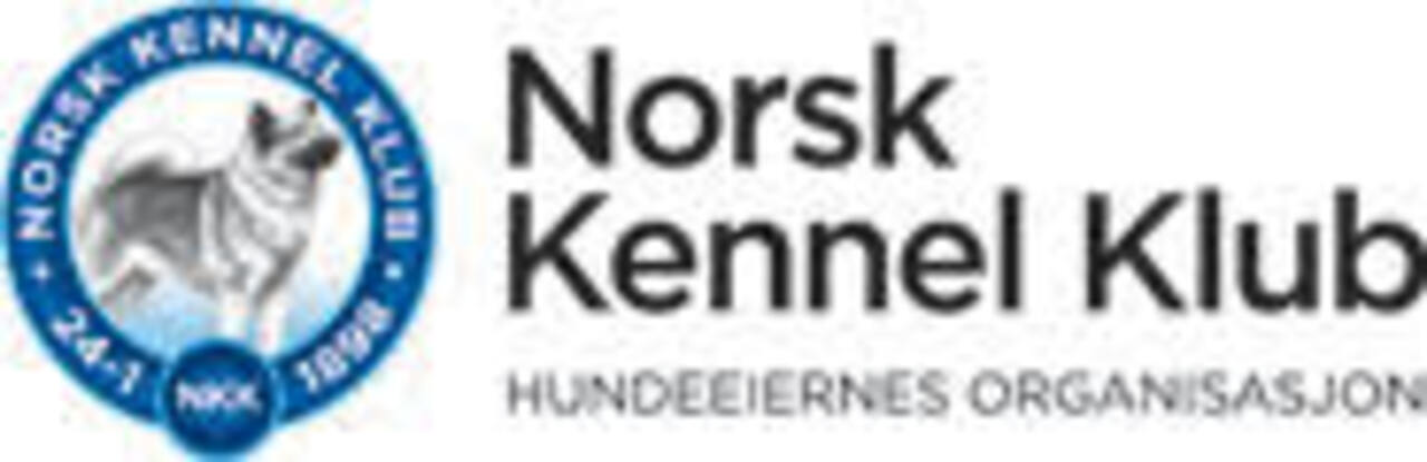 Nyheter fra NKK
