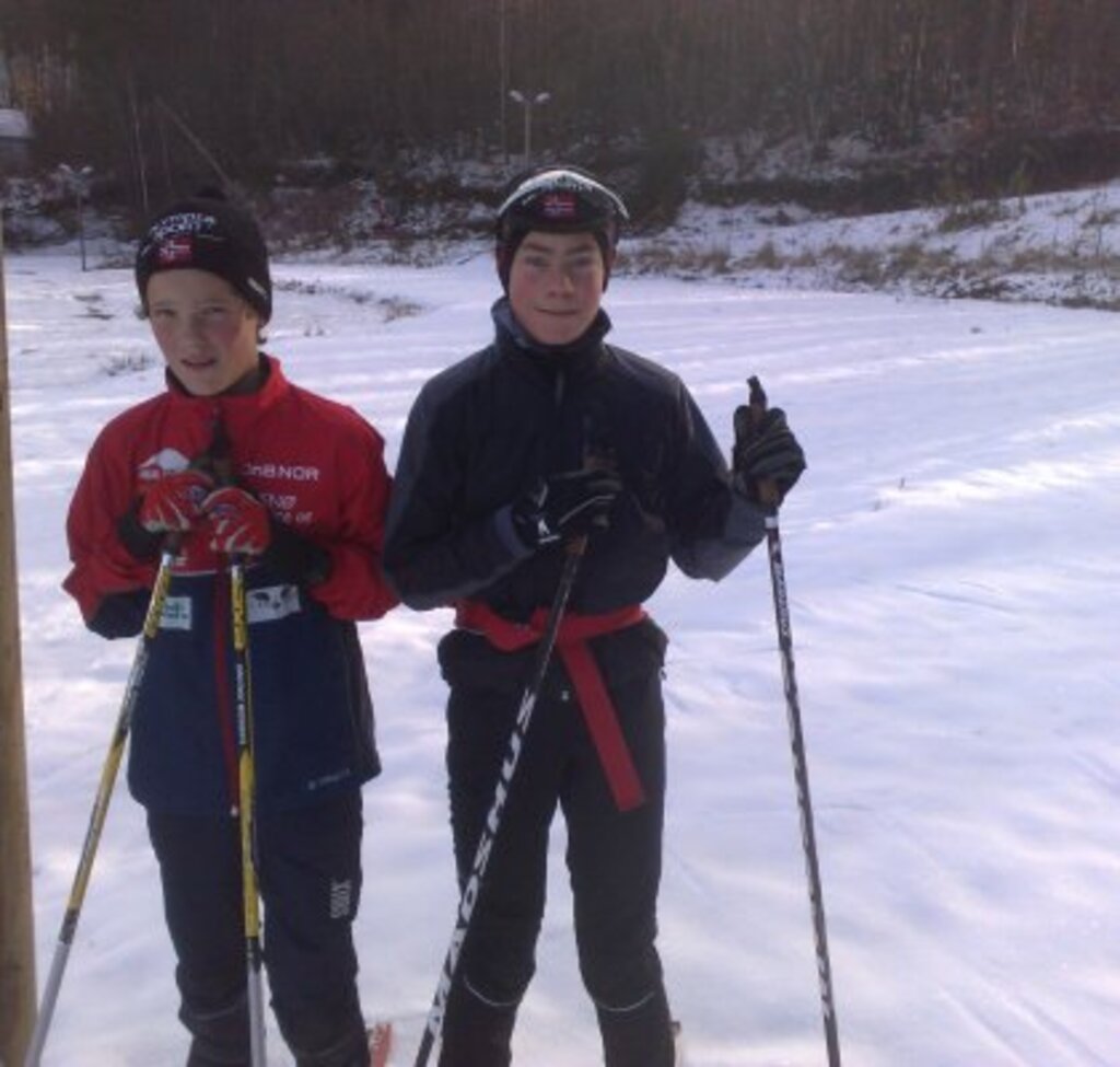 Fremdeles fine forhold i anlegget1