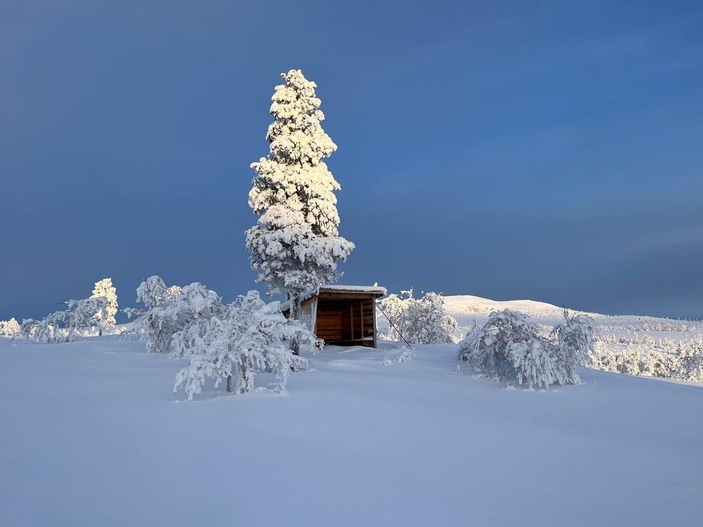 Joppålskletten