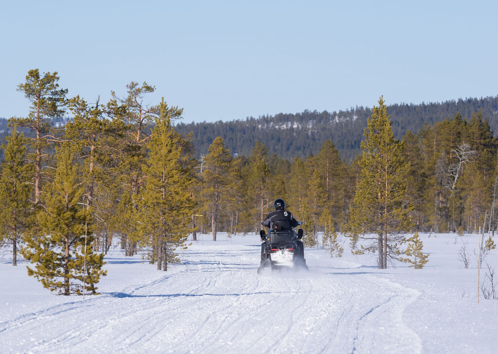 Fredag og snart helg, oppdatering l&oslash;yper!