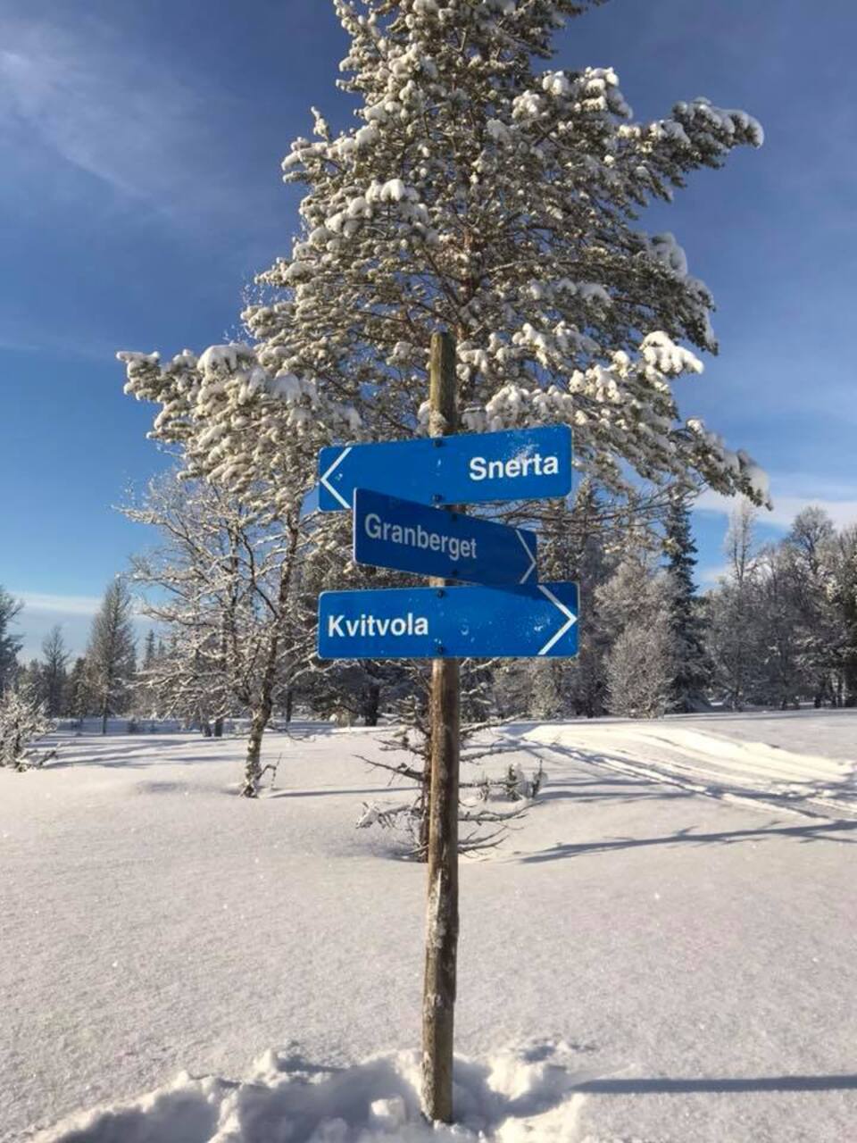 Åpning av løyper