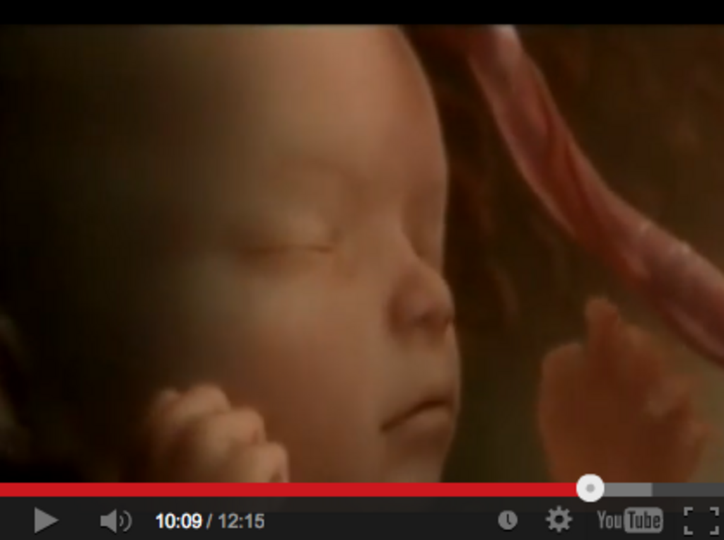 Video "The miracle of life"