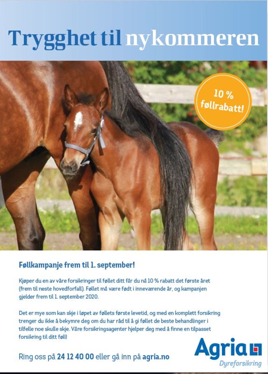 Rabattavtale p&aring; hesteforsikring hos Agria