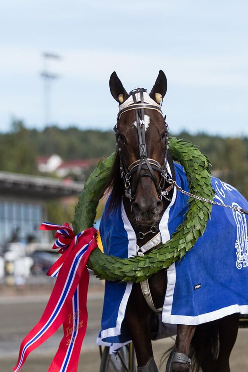 Finalefelt Hoppederby 2022
