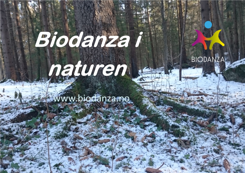 NY DATO: Biodanza i naturen 11. mars - mens det fortsatt er litt snø på Bygdøy