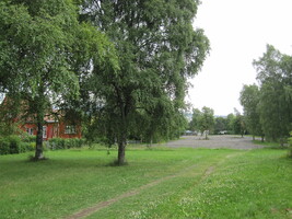 Den skal tidlig krøkes