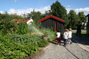 2013 - Eikenøtten har egen grønnsakhage