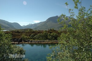 Vatterfjordpollen