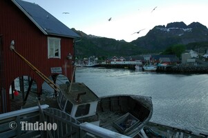 Reine, Moskenes