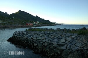 Reine, Moskenes