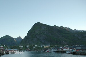 Reine, Moskenes