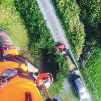 Trefelling oppdrag – Nittedal Trefelling