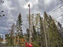 Stubbefresing – resultater