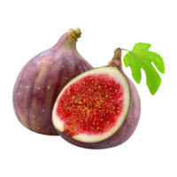 Bilde mangler