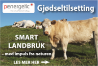 Penergetic miljøprodukter