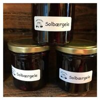 Solbærgele
