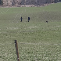 SPH prøven 22-23/4 2017