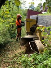 Stubbefresing – skånsom fjerning av stubber