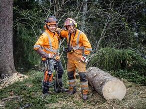 Trefelling i Oslo og omegn