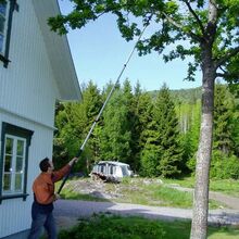 Trepleie og beskjæring
