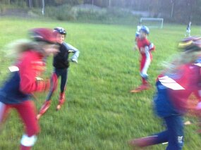 Rulleski og løping i dag!