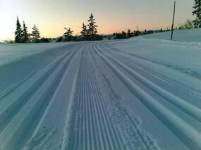 Klubbmesterskap tirsdag 25.3
