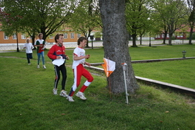 Intervalltrening på onsdager 