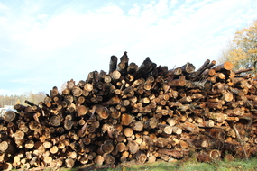 Hvordan jobbe bedre hjemme test