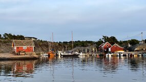 Dette er en nyhet test