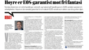 The Conservatives are the EEA guarantor against free fantasy