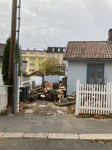 Gratis ved fra Nittedal Trefelling