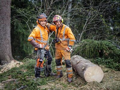 Trefelling – profesjonell felling av vanskeligstilte trær