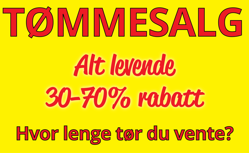 Tømmesalg BK 2023