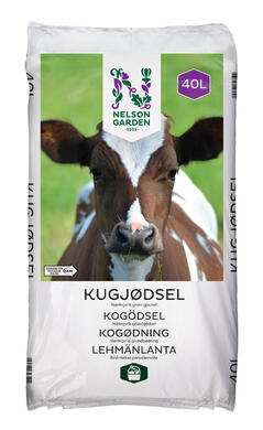 Bilde mangler